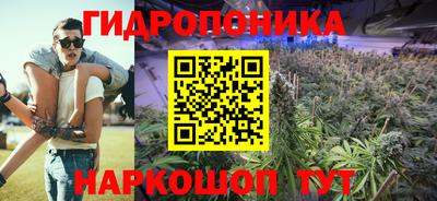 гашик Туймазы
