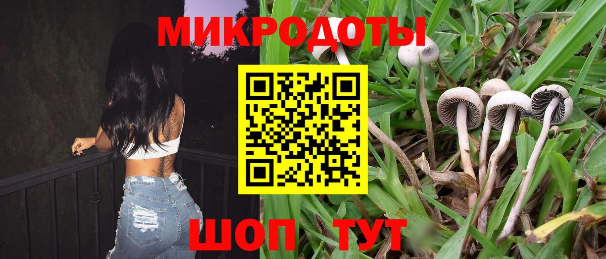 Псилоцибиновые грибы MAGIC MUSHROOMS Медногорск
