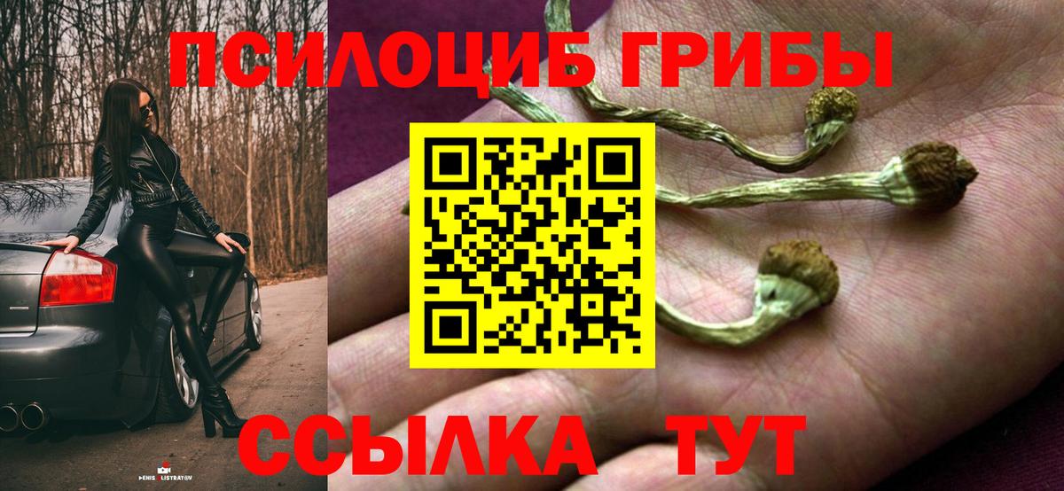 Галлюциногенные грибы Magic Shrooms  Галлюциногенные грибы Cubensis  наркотики  Медногорск  Вход с VPN 